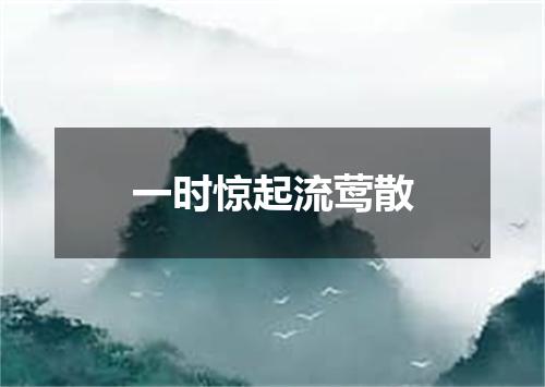 一时惊起流莺散