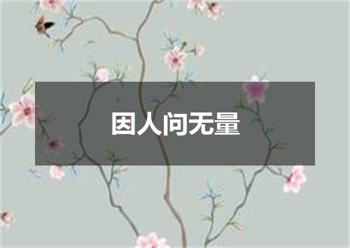 因人问无量