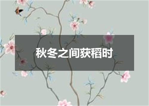 秋冬之间获稻时