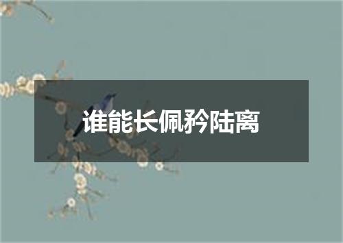 谁能长佩矜陆离