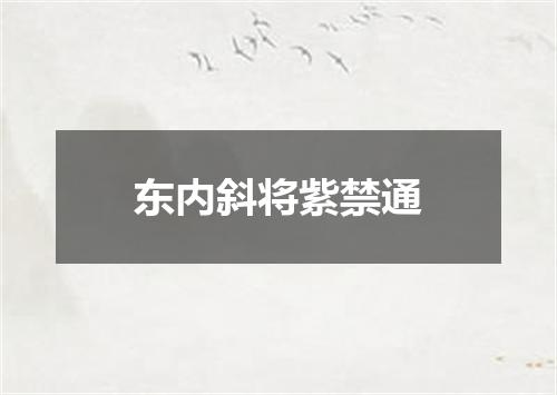 东内斜将紫禁通