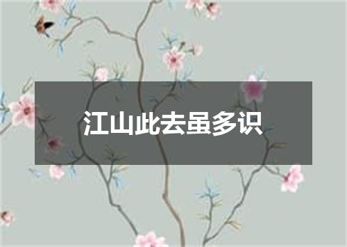 江山此去虽多识