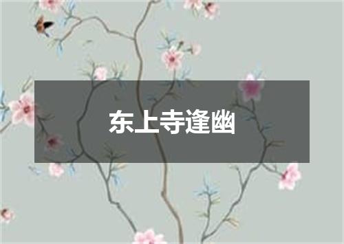 东上寺逢幽