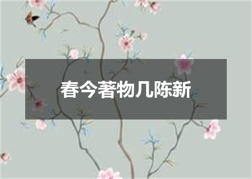 春今著物几陈新