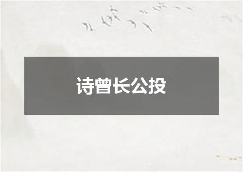 诗曾长公投