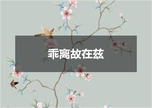 乖离故在兹