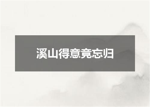 溪山得意竟忘归