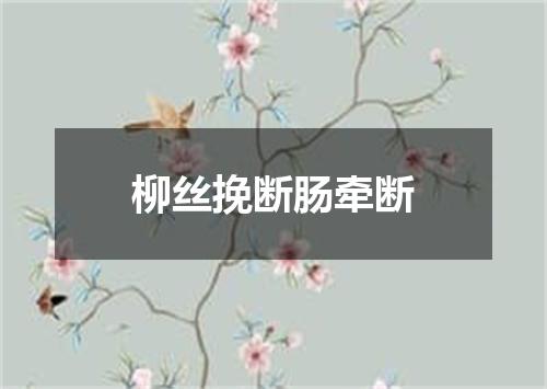 柳丝挽断肠牵断