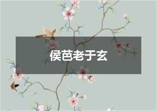 侯芭老于玄