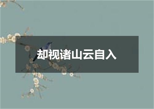 却视诸山云自入