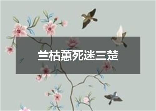 兰枯蕙死迷三楚