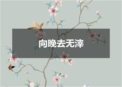 向晚去无滓