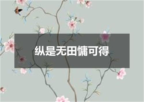 纵是无田慵可得