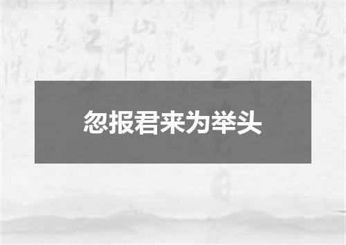 忽报君来为举头