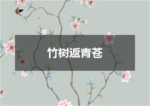 竹树返青苍