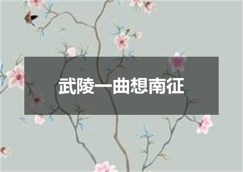 武陵一曲想南征