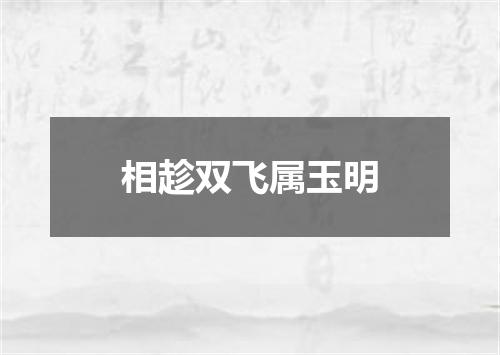 相趁双飞属玉明