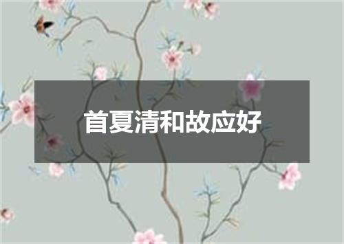 首夏清和故应好