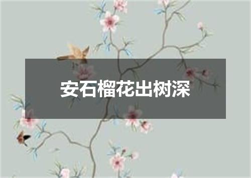 安石榴花出树深