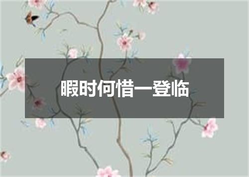 暇时何惜一登临