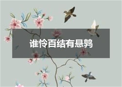 谁怜百结有悬鹑