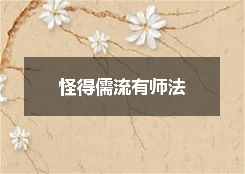 怪得儒流有师法