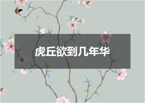 虎丘欲到几年华