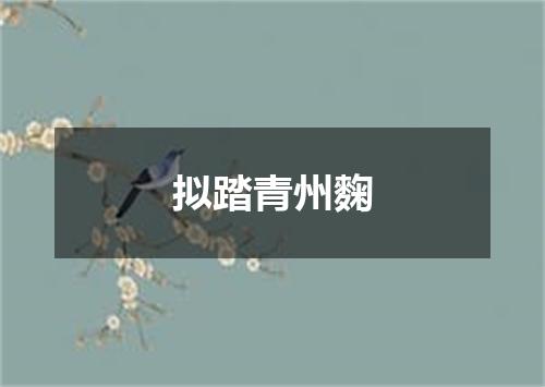 拟踏青州麴