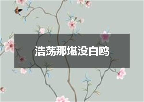 浩荡那堪没白鸥