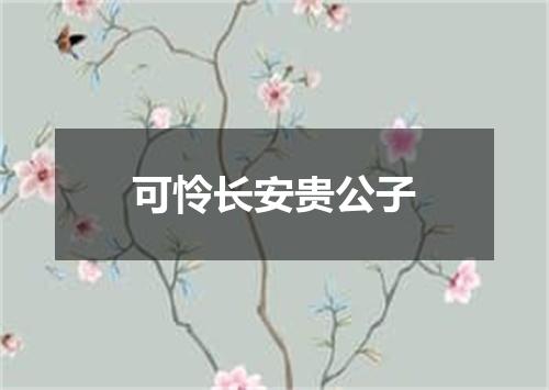 可怜长安贵公子