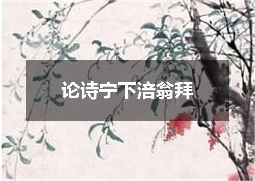 论诗宁下涪翁拜