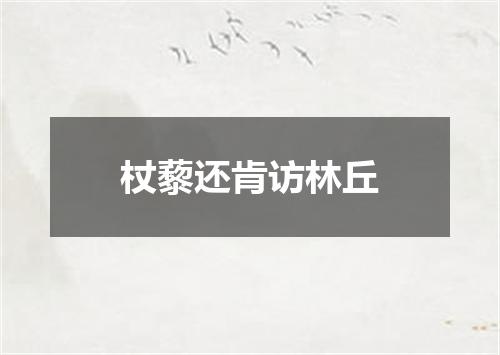 杖藜还肯访林丘