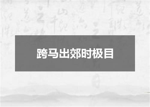 跨马出郊时极目