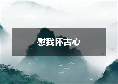 慰我怀古心