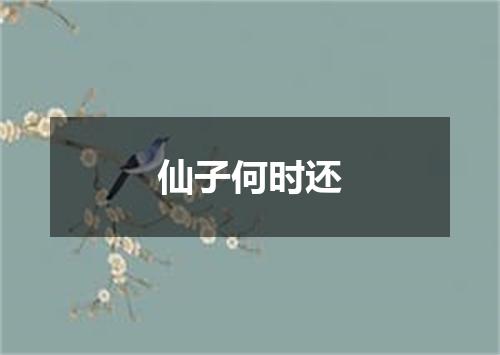 仙子何时还