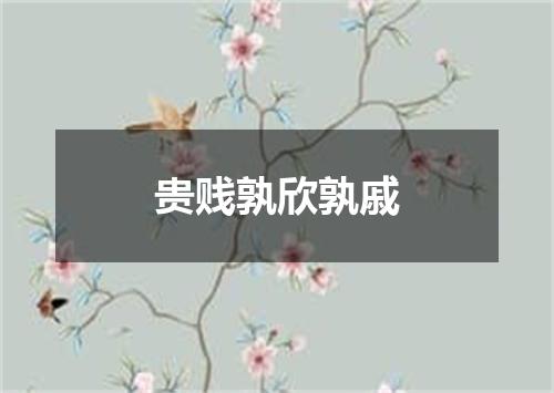 贵贱孰欣孰戚