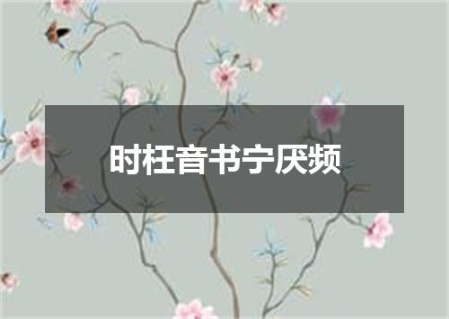 时枉音书宁厌频