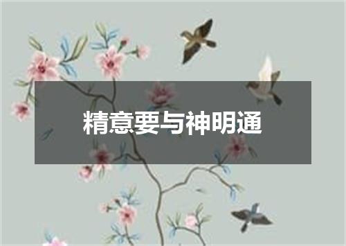 精意要与神明通