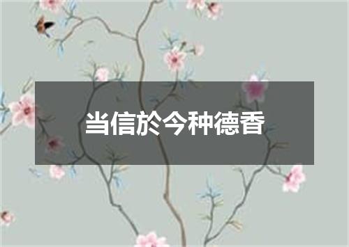 当信於今种德香