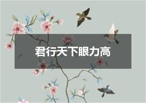 君行天下眼力高