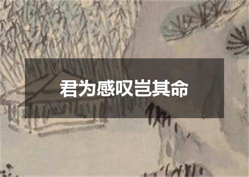 君为感叹岂其命