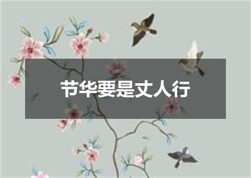 节华要是丈人行