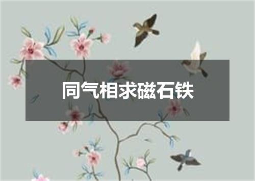 同气相求磁石铁