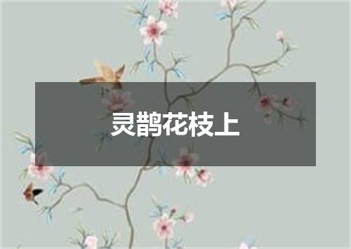 灵鹊花枝上