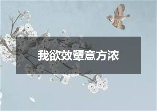 我欲效颦意方浓