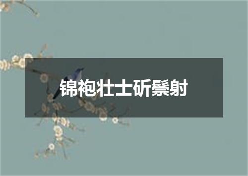 锦袍壮士斫鬃射