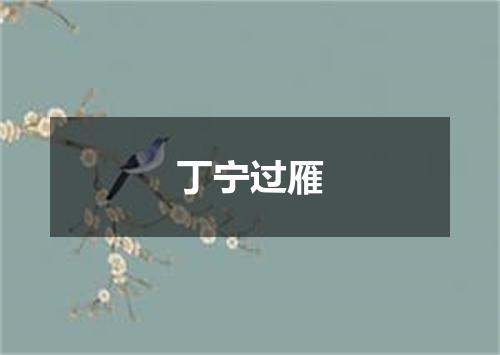 丁宁过雁