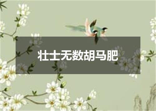 壮士无数胡马肥