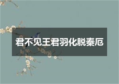 君不见王君羽化脱秦厄