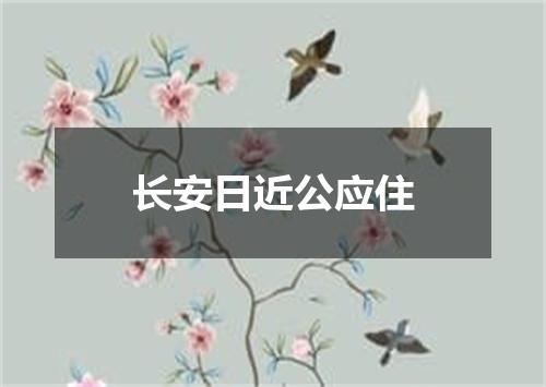 长安日近公应住